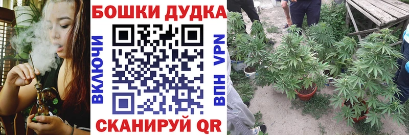 Где купить наркоту Володарск Кокаин  APVP  MDMA  ГАШ  Галлюциногенные грибы 