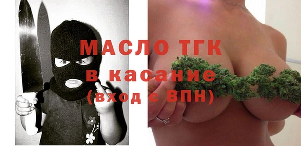 крисы Сатка