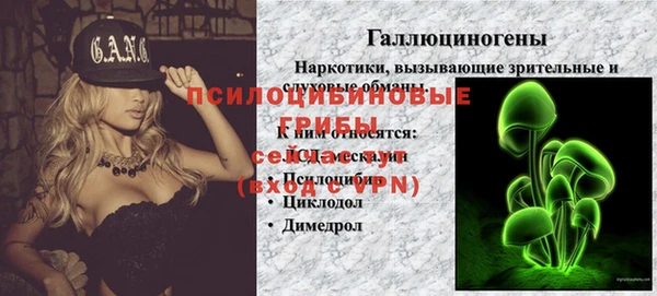 дживик Вязьма
