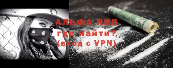 дживик Вязьма