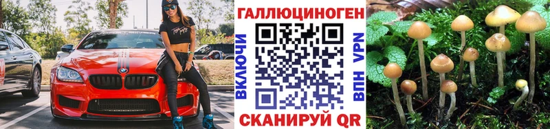 darknet телеграм  Володарск  Псилоцибиновые грибы GOLDEN TEACHER 